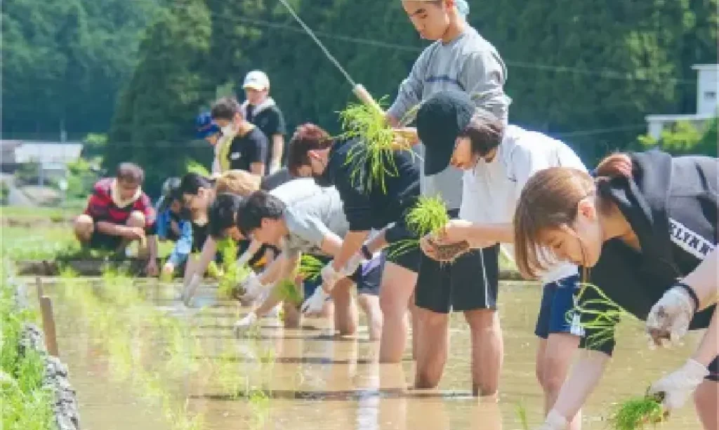 田植えする子供たち