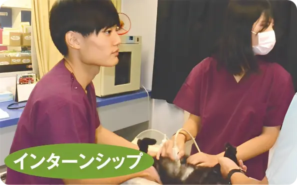 インターシップ